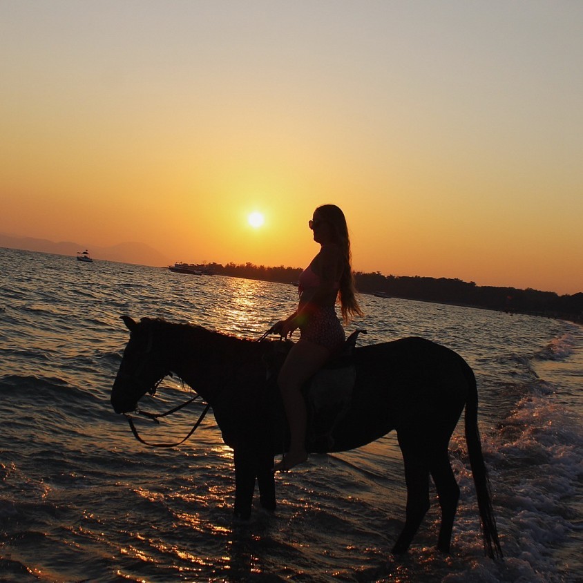At turu 1500₺:Lokasyon seçimi mevcuttur Hisarönü orman yolu yada Yanıklar sahil kenarı. sabah ve akşam üstü olmak üzere 2 sefer mevcuttur. süre 1-2 saat 🐎 Horse riding tour 25£ :Location optional Hisaronu forest or Yanıklar beach. Available in 2 sessions, one in the morning and one in the late afternoon. Duration: 1-2 hours.